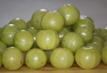 Amla Benefits: આમળા ખાવાના ફાયદા જાણીને થઈ જશો હેરાન! જાણો આ ખાટા ફળમાંથી બનતી સ્વાદિષ્ટ વાનગીઓ Benefits of Amla