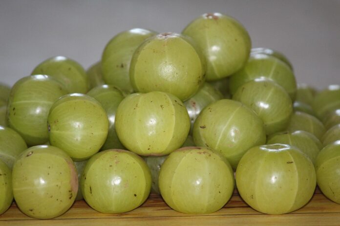 Benefits of Amla