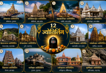 12 જ્યોતિર્લિંગના નામ અને સ્થળ: સંપૂર્ણ જ્યોતિર્લિંગ યાત્રા માર્ગદર્શિકા 12 JYOTIRLINGA DARSHAN IN INDIA