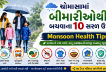 Monsoon Health Tips: વરસાદમાં બીમારીઓથી બચવાના 10 સરળ અને અસરકારક ઉપાય